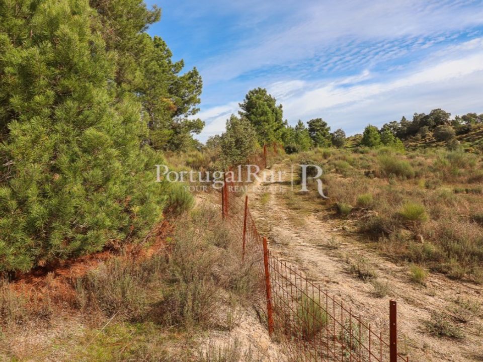 Gård i Fundao, Castelo Branco - bilde 4