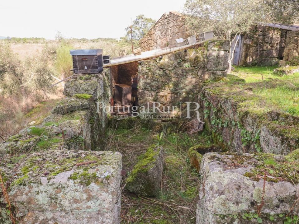 Gård i Fundao, Castelo Branco - bilde 5
