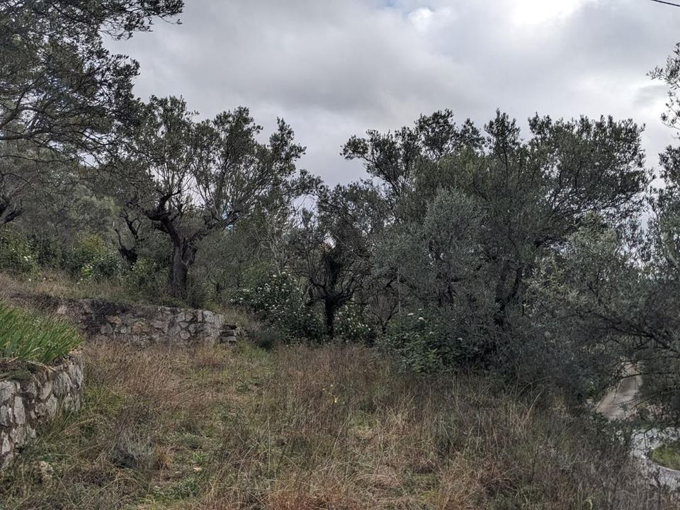 Helårsgrund i Claviers, Var - foto 2