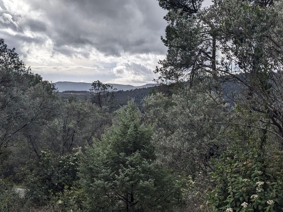 Helårsgrund i Claviers, Var - foto 3