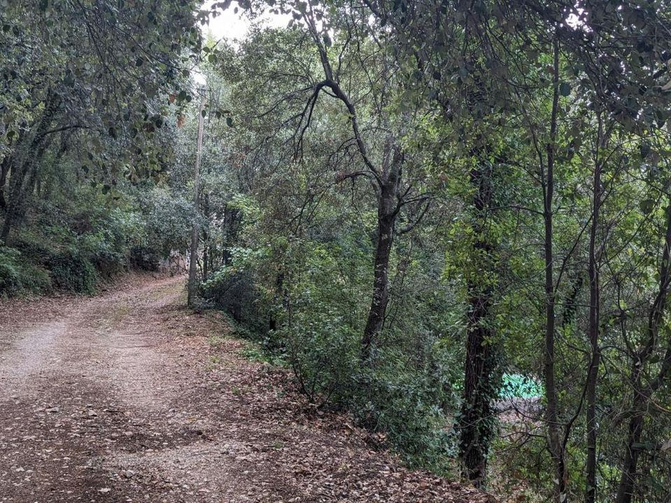 Villa i Claviers, Var - bilde 4