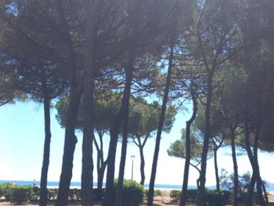 Lejlighed i Argeles-sur-Mer, Pyrenees-Orientales - foto 1