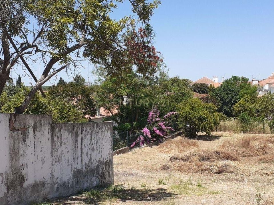 Helårsgrund i Alcanhoes, Santarem - foto 2