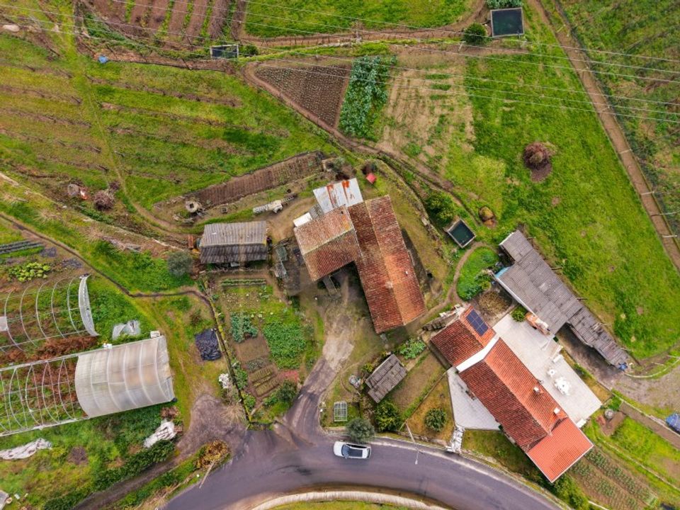 Farm i Guimaraes, Braga - foto 2