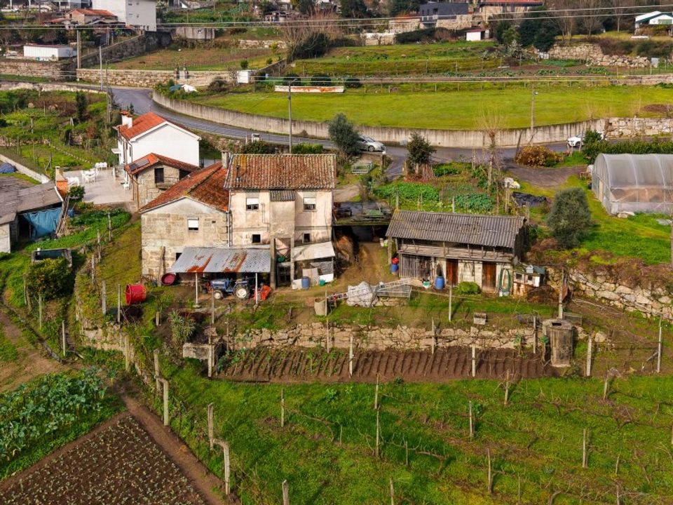Farm i Guimaraes, Braga - foto 3