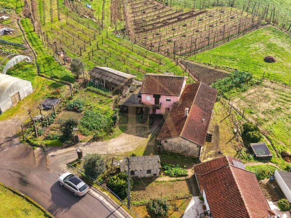 Farm i Guimaraes, Braga - foto 5