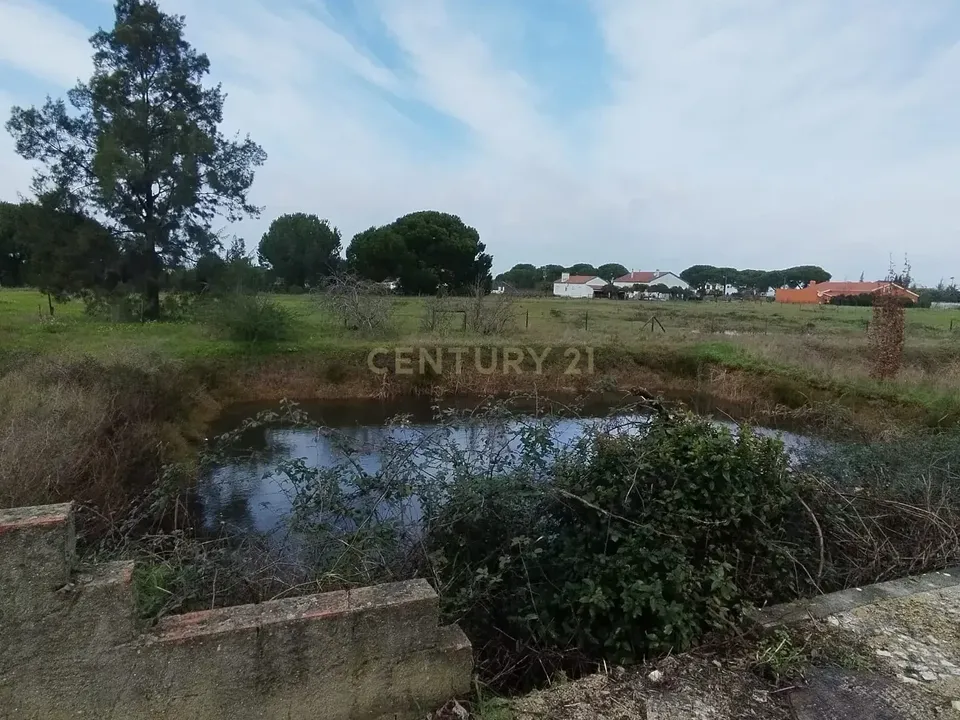 Helårsgrund i Montijo, Setubal - foto 5