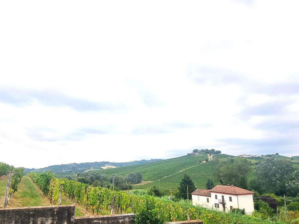 Villa i Casalotto, Asti - foto 2