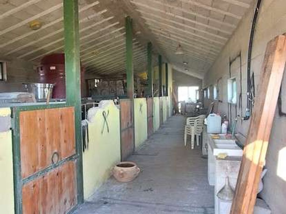 Villa a Loreto Aprutino, Pescara - foto 5
