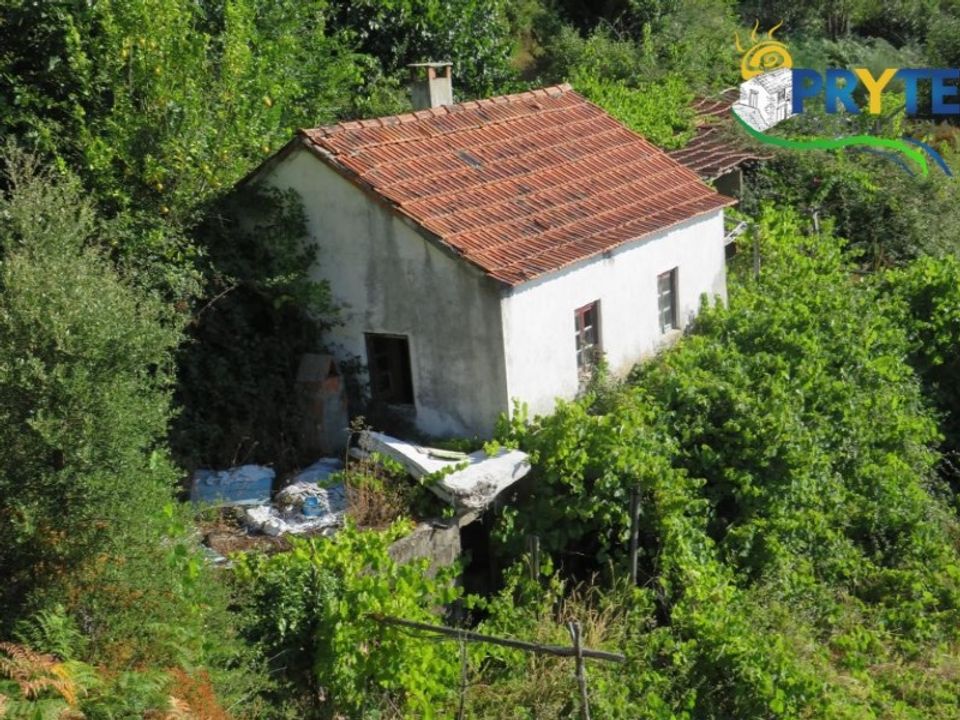 Landejendom i Troviscal, Castelo Branco - foto 2