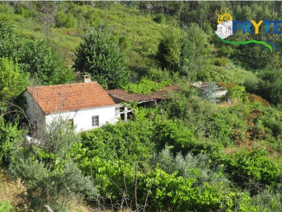 Landejendom i Troviscal, Castelo Branco - foto 3