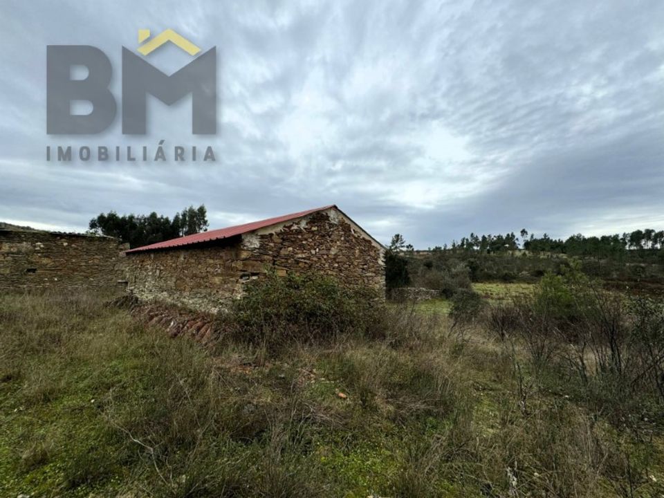 Farm i Castelo Branco, Castelo Branco - foto 3