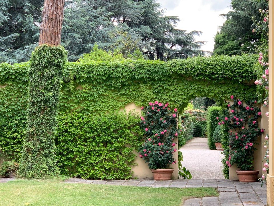Villa i Cesena, Forli-Cesena - foto 4