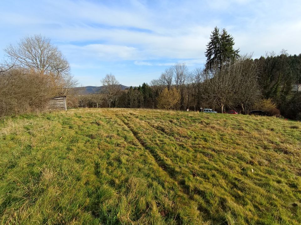 Helårsgrund i Le Mayet-de-Montagne, Allier - foto 1