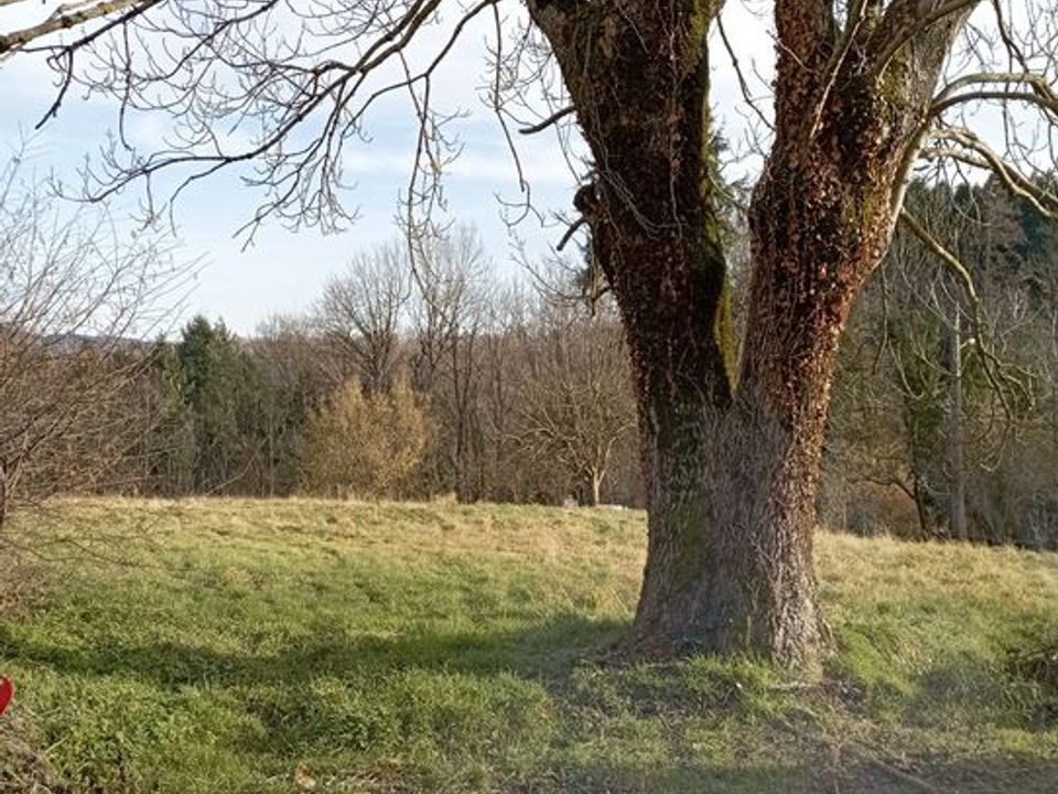 Helårsgrund i Le Mayet-de-Montagne, Allier - foto 4