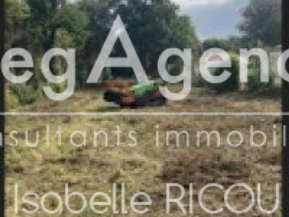 Terreno en Saint-Georges-d'Oleron, Charente-Maritime - foto 1