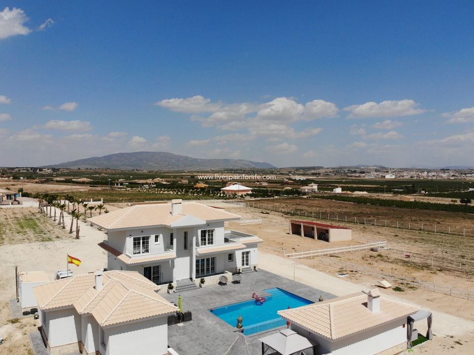 Landejendom i Pinoso, Alicante - foto 1