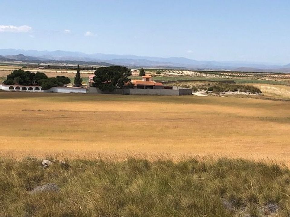 Helårsgrund i Jumilla, Murcia - foto 1