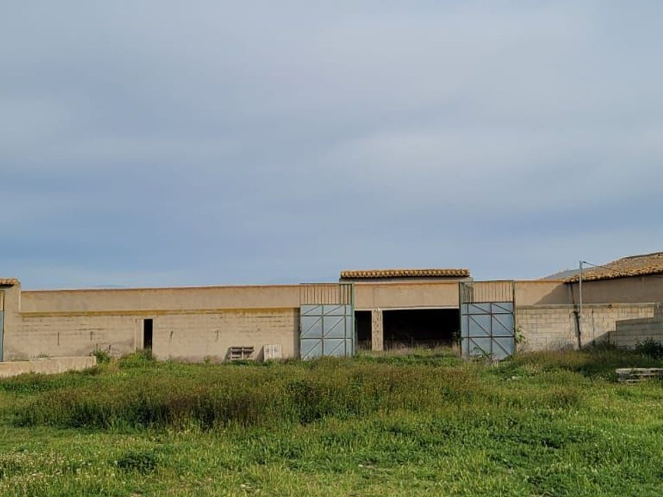 Helårsgrund i Jumilla, Murcia - foto 4