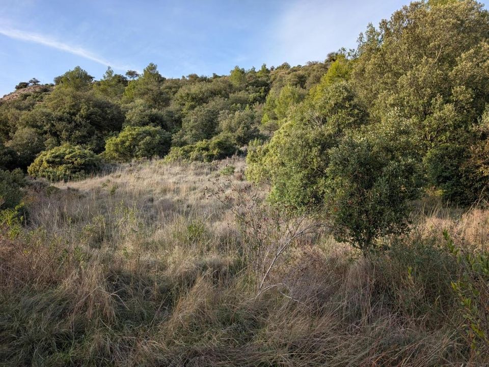 Tomt i Rieux-en-Val, Aude - bilde 1