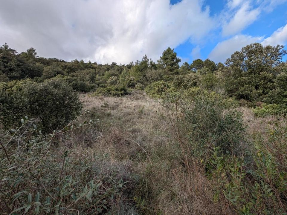 Tomt i Rieux-en-Val, Aude - bilde 2
