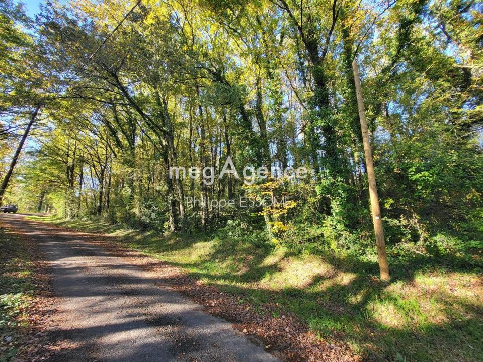 Terra a Mont-Roc, Tarn - foto 3