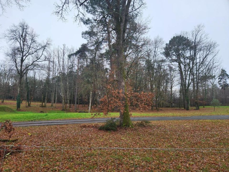 Terra em Chancelade, Dordogne - foto 2