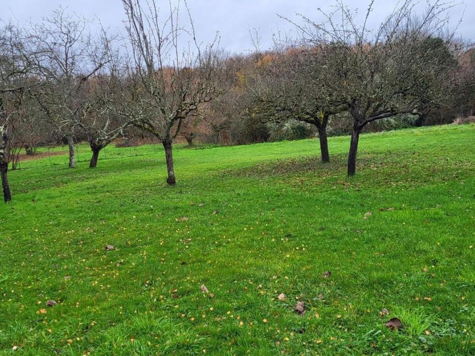 Helårsgrund i Blois, Loir-et-Cher - foto 1