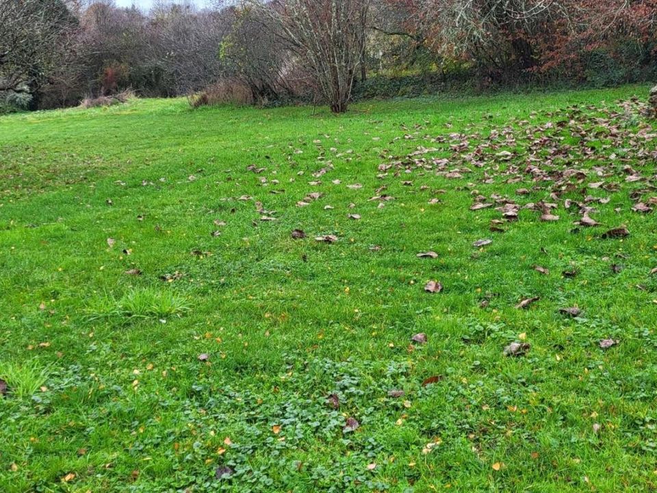 Helårsgrund i Blois, Loir-et-Cher - foto 4