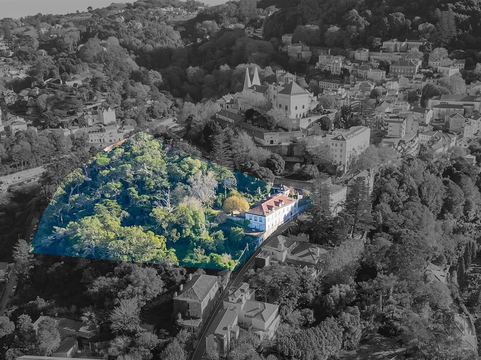Farm i Sintra, Lisbon - foto 4