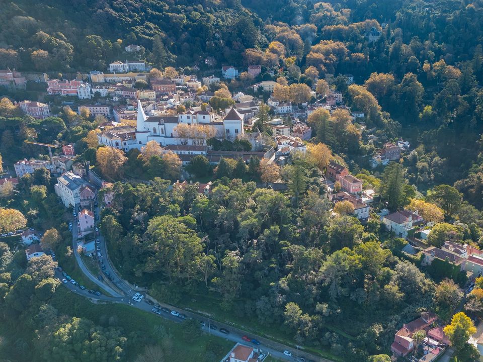 Farm i Sintra, Lisbon - foto 5