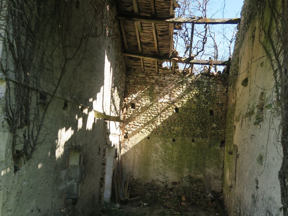 Landejendom i Chapelle-Viviers, Vienne - foto 5