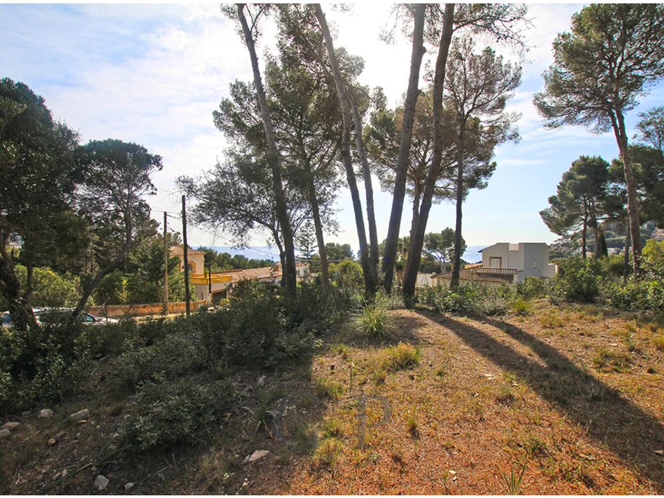 Helårsgrund i Canyamel, Mallorca - foto 2