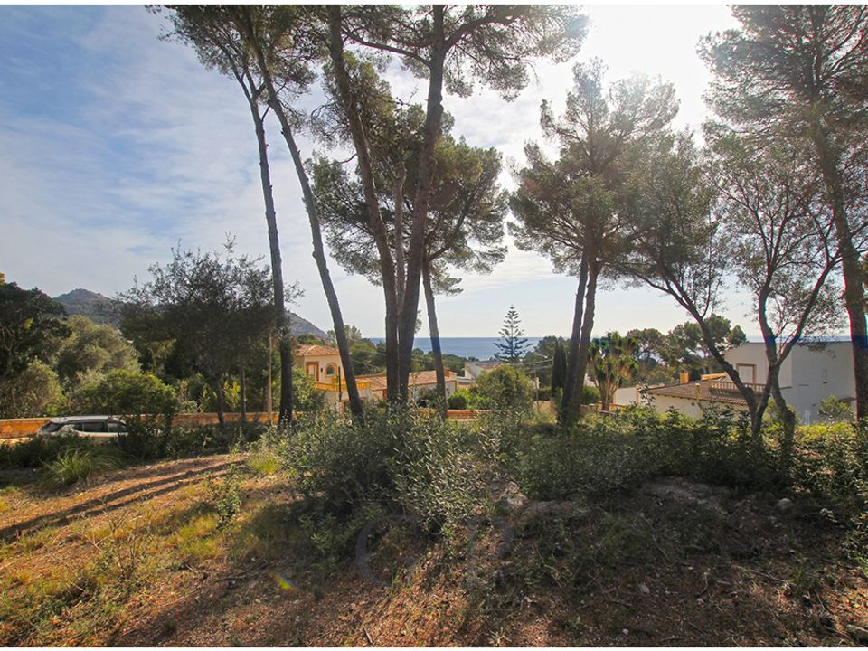 Helårsgrund i Canyamel, Mallorca - foto 4