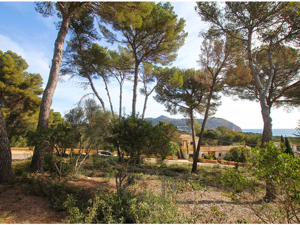 Helårsgrund i Canyamel, Mallorca - foto 5