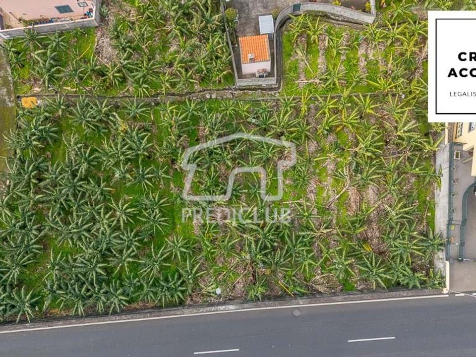 Helårsgrund i Ribeira Brava, Madeira - foto 1