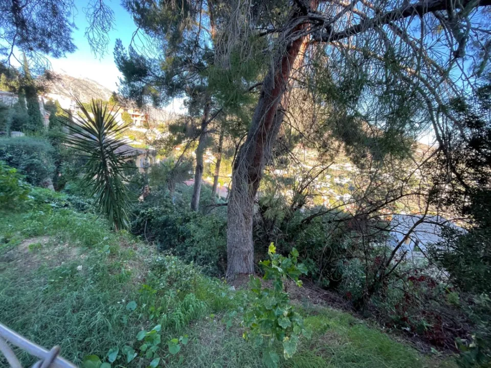 Helårsgrund i Calpe, Alicante - foto 2