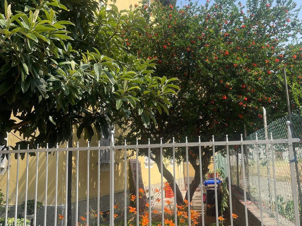 Byhus i Parma, Parma - foto 3