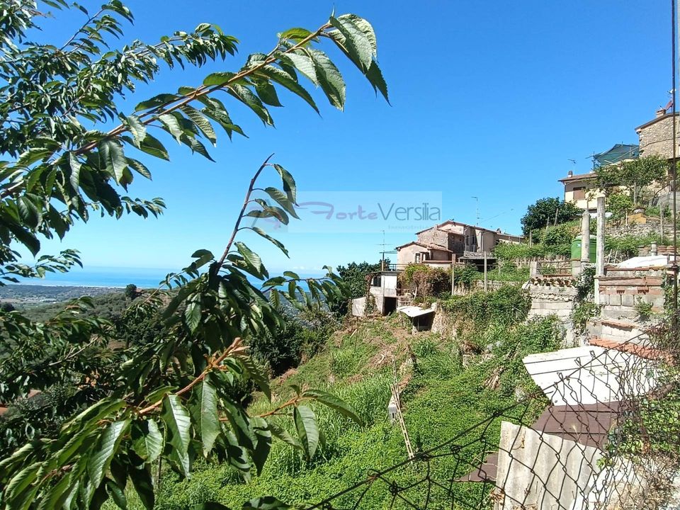 Villa i Pietrasanta, Lucca - foto 2