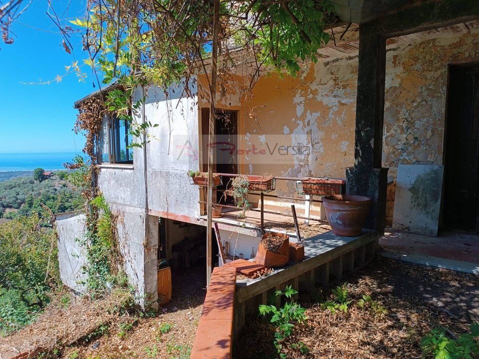 Villa i Pietrasanta, Lucca - foto 4