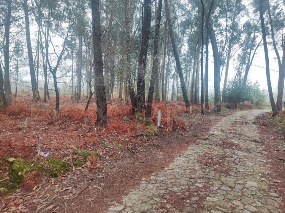 Helårsgrund i Reboreda e Nogueira, Viana do Castelo - foto 1