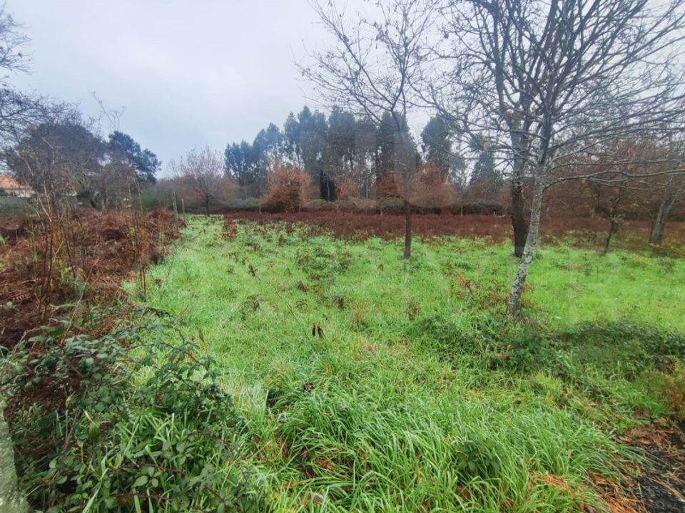Helårsgrund i Valenca, Viana do Castelo - foto 2