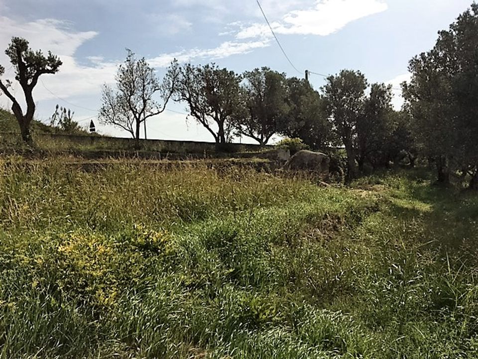 Helårsgrund i Catanzaro, Catanzaro - foto 1