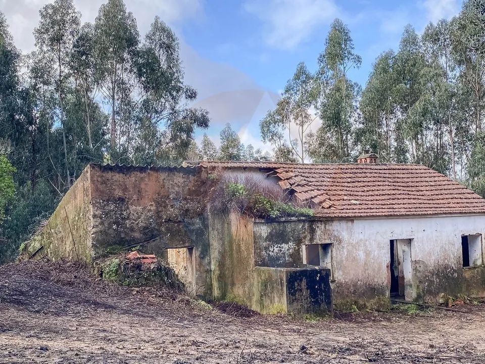 Farm i Monchique, Faro - foto 2