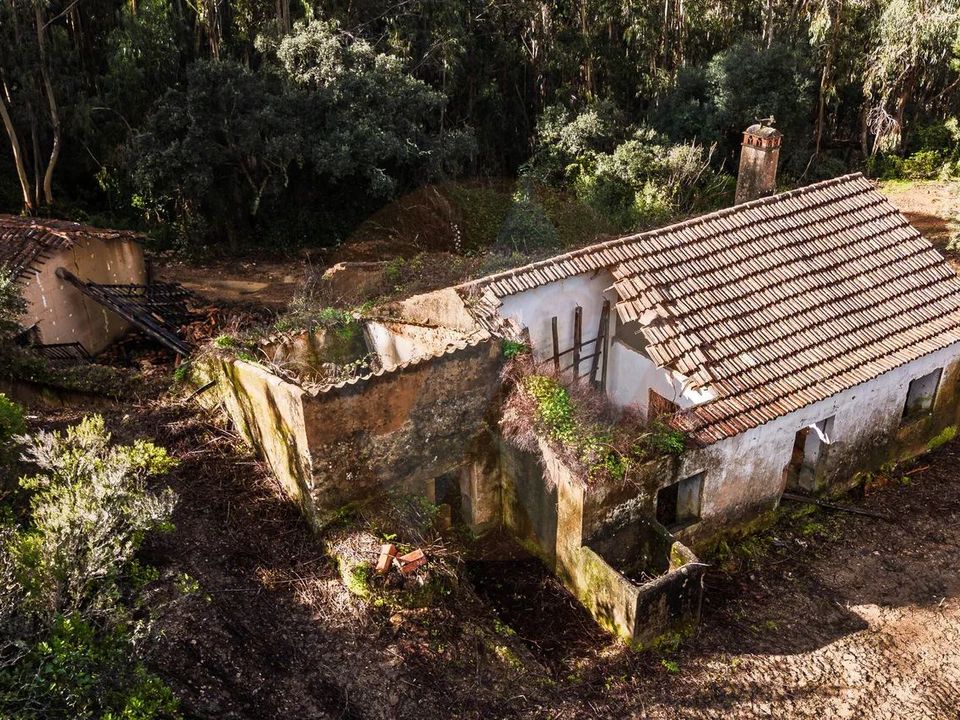 Farm i Monchique, Faro - foto 3