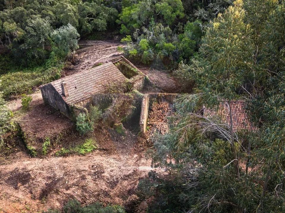 Farm i Monchique, Faro - foto 5