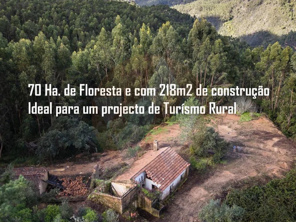 Farm i Monchique, Faro - foto 1