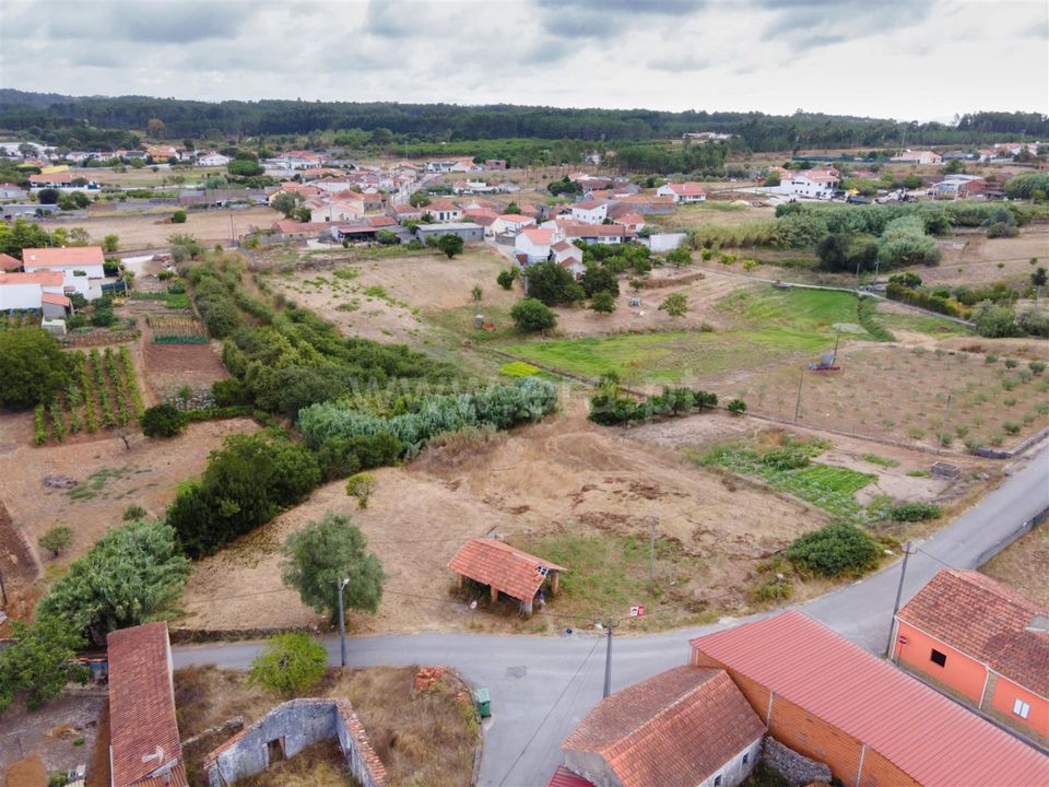 Helårsgrund i Alcobaca, Leiria - foto 5