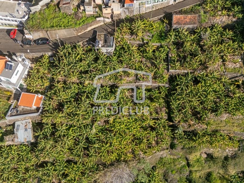Helårsgrund i Calheta, Madeira - foto 3