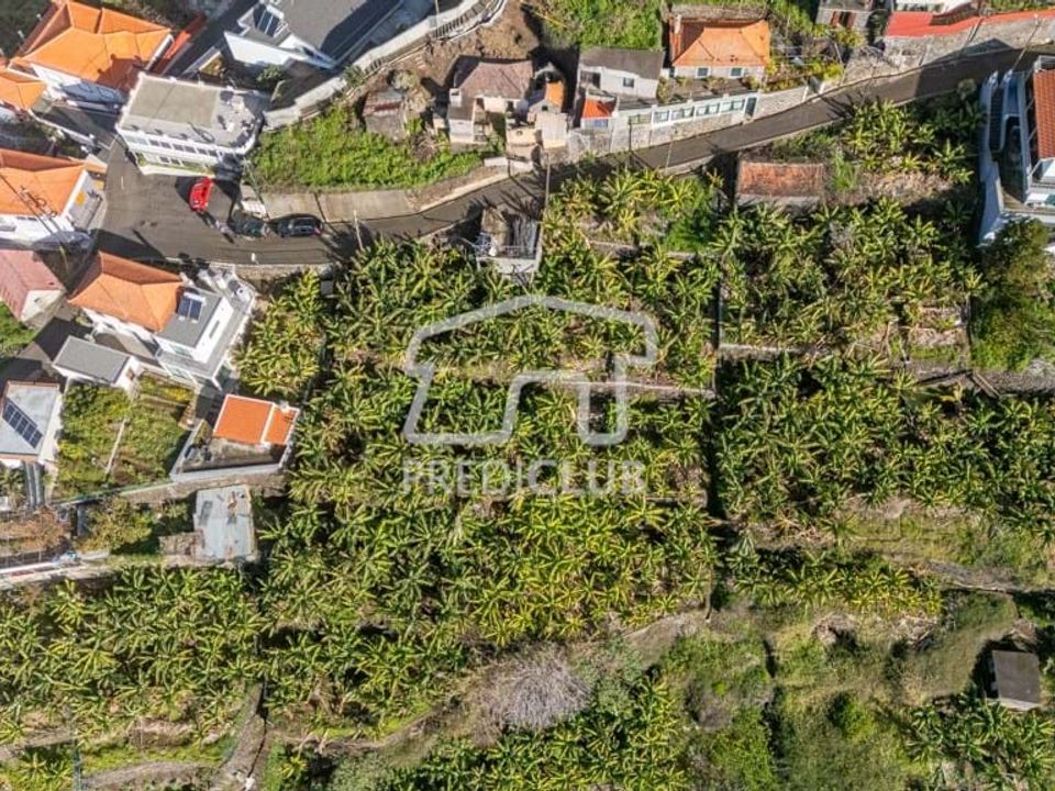 Helårsgrund i Calheta, Madeira - foto 4